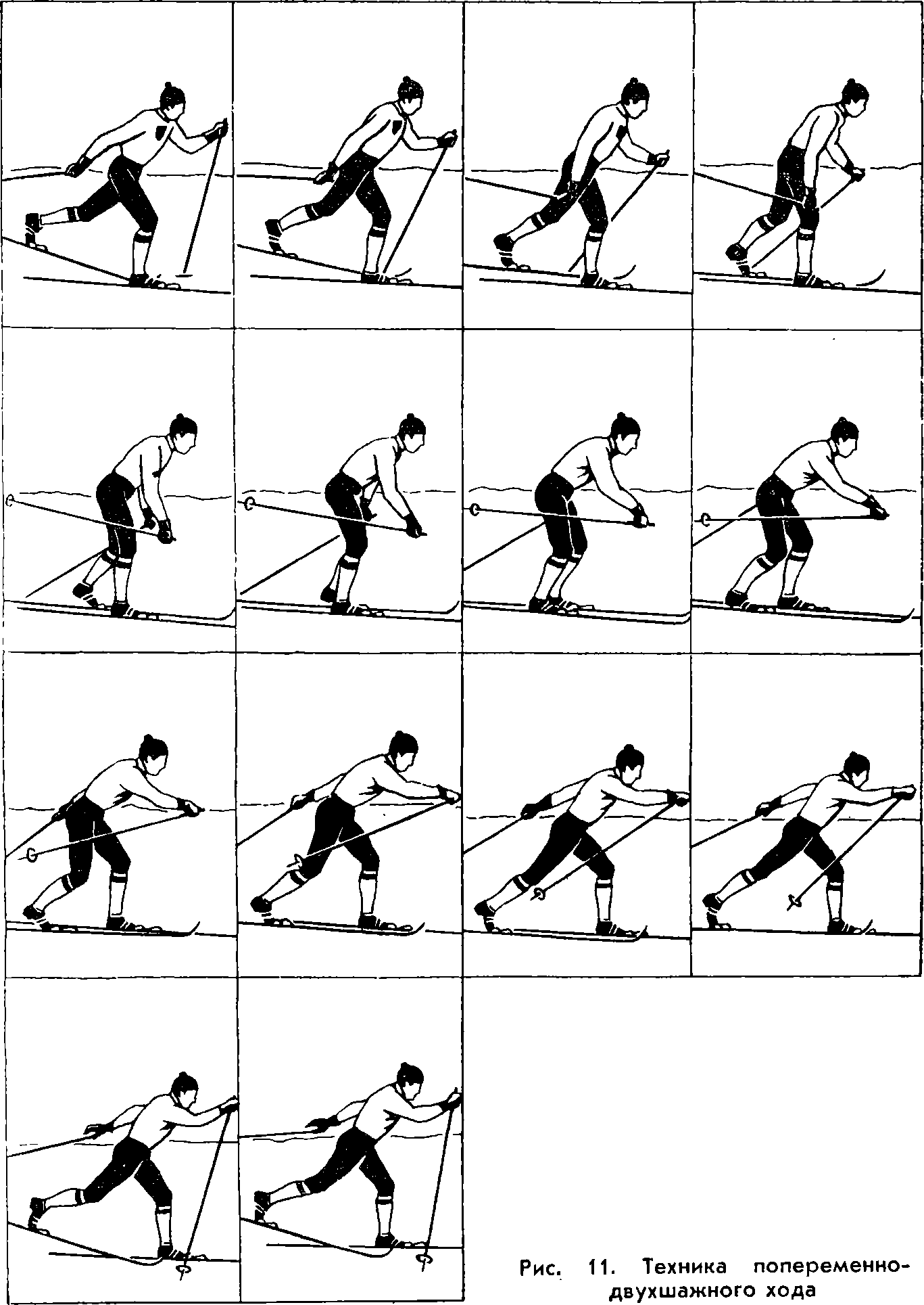 Передвижение скользящим шагом. Разминка на лыжах упражнения. Упражнение лыжник. Схема техники скользящего шага. Техника выполнения скользящего шага на лыжах.